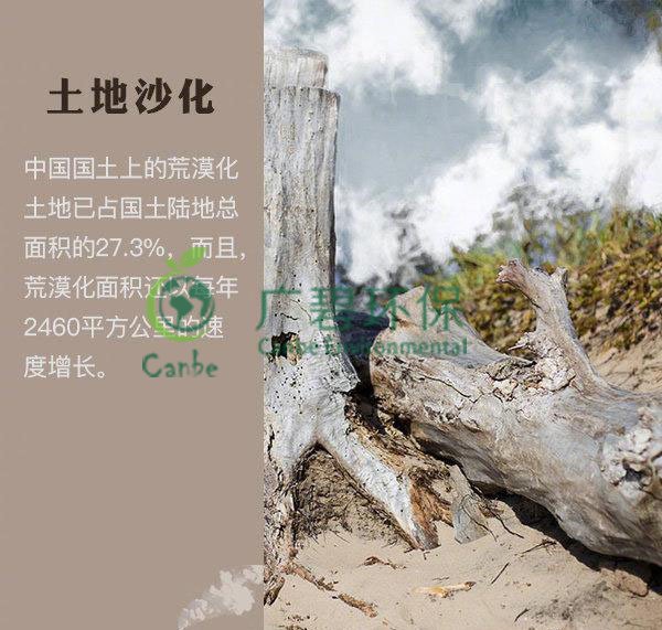 世界地球日 我們能為地球做些什么？(圖4)