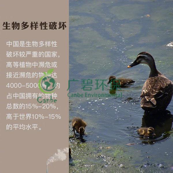 世界地球日 我們能為地球做些什么？(圖6)