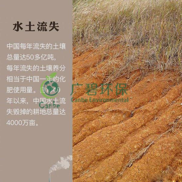 世界地球日 我們能為地球做些什么？(圖7)