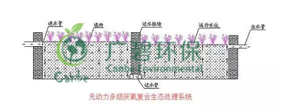 養(yǎng)豬場污水處理方法 養(yǎng)豬場廢水處理設(shè)備的應(yīng)用(圖5) 養(yǎng)豬場污水處理方法 養(yǎng)豬場廢水處理設(shè)備的應(yīng)用(圖5)