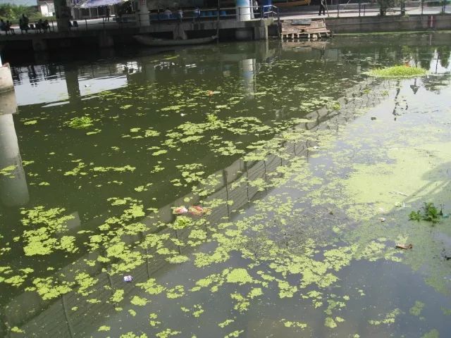 城市黑臭河道如何治理？河道黑臭水體治理思路
