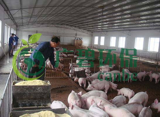 什么是養(yǎng)殖廢水？養(yǎng)殖廢水處理工藝(圖1)