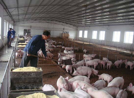 什么是養(yǎng)殖廢水？養(yǎng)殖廢水處理工藝