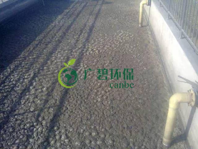 污泥發(fā)黑是什么原因造成？污泥發(fā)黑經(jīng)驗(yàn)分享(圖1)