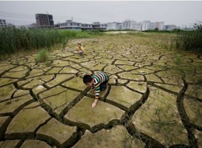 【世界土壤日】《土壤污染防治法》有哪些亮點？