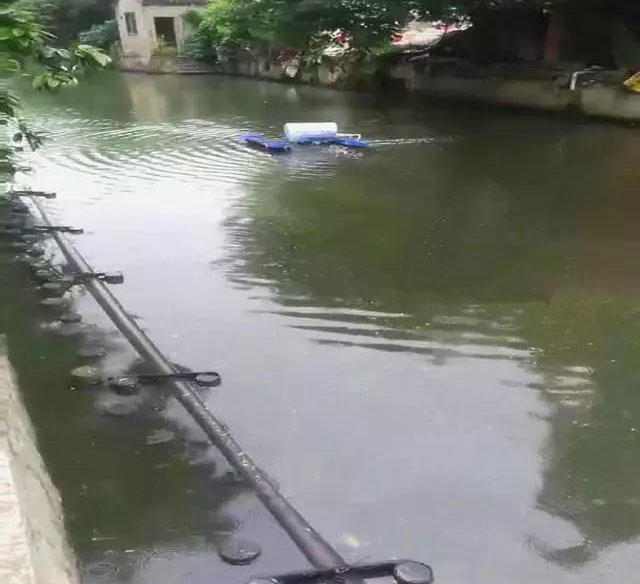 廣東公布省級河湖最新河湖長名單！