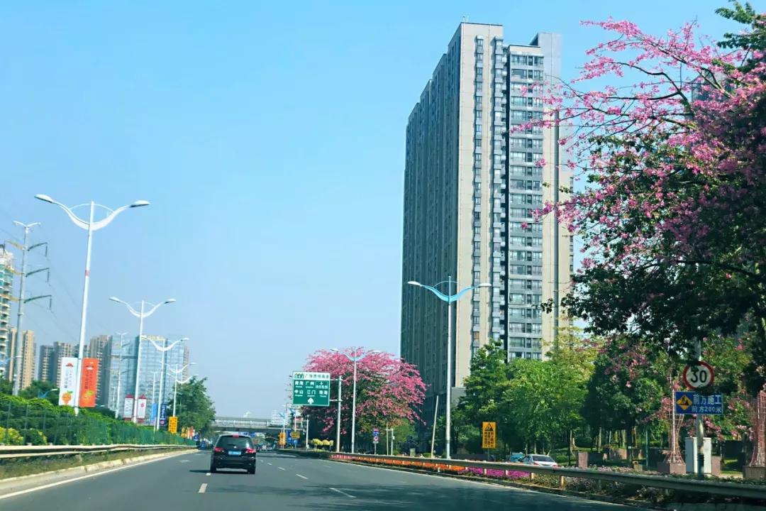 環(huán)境部印發(fā)《規(guī)劃環(huán)評技術(shù)導(dǎo)則 總綱》，項(xiàng)目環(huán)評部分章節(jié)可簡化