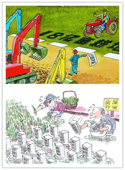 土壤侵蝕是什么？什么導(dǎo)致了土壤侵蝕？(圖3)