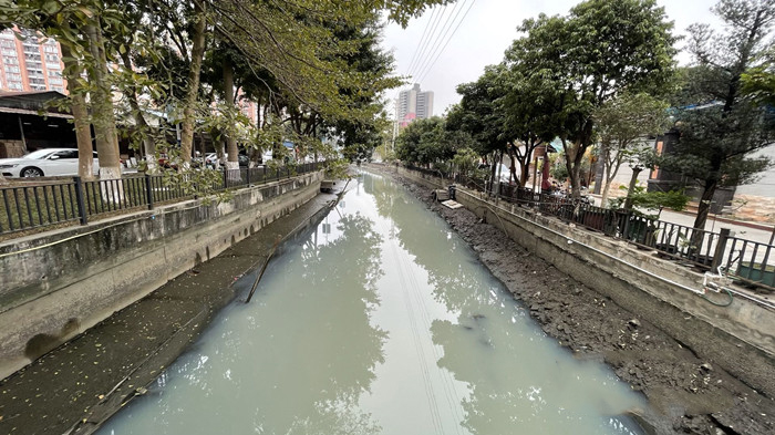 順德大良石洛涌、八坊涌整治見成效(圖3)